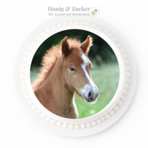 tortenaufleger fohlen