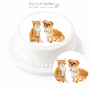tortenaufleger katze hund