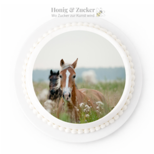 tortenaufleger pferden